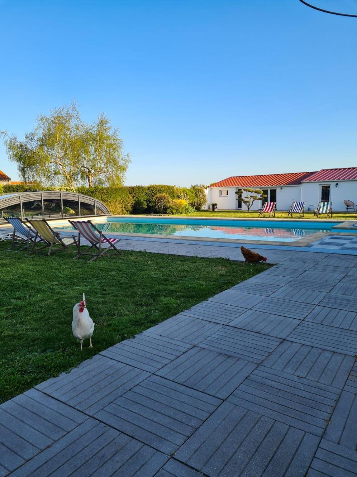 Ty Grain De Sel : Logement Privatif Avec Piscine, Jardin Et Patio Chauve ภายนอก รูปภาพ